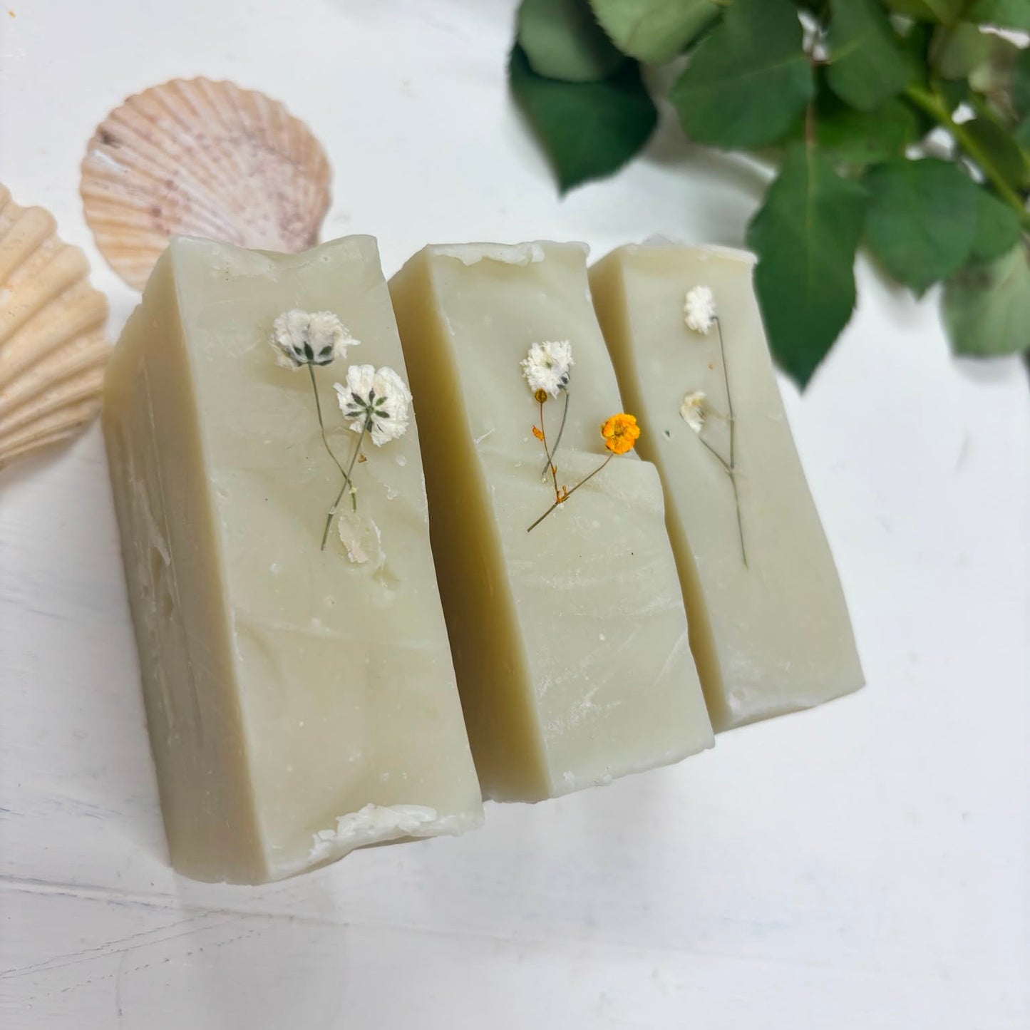 Wild mint & thyme