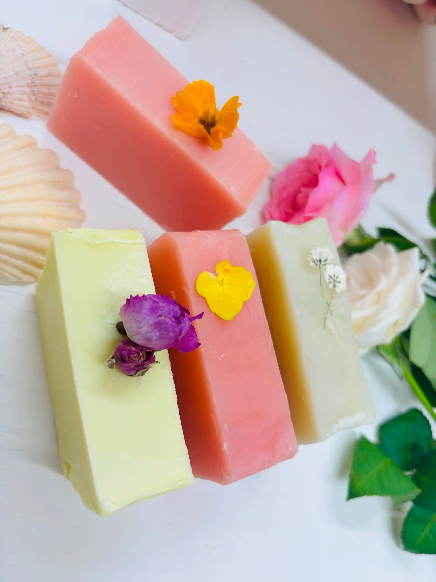 Coastal garden, a limited Summer collection